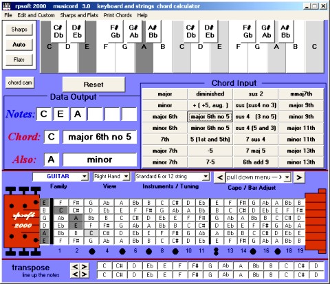 musicord screen image