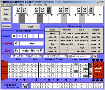 oud chord usage - left hand viewing